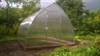 Теплица Купольная 2,5 х 6 метра 2112 Теплица Купольная 2,5 х 6 метра 2112