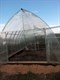 Теплица Ангар 4 х 4 метра 2121 - фото 5737 Теплица Ангар 4 х 4 метра 2121 - фото 5737