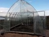 Теплица Ангар 4 х 12 метра 2125 - фото 5821 Теплица Ангар 4 х 12 метра 2125 - фото 5821