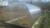 Теплица Триумф 3 х 10 метра 2151