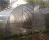 Теплица Триумф Макси 3,5 х 6 метра 2273